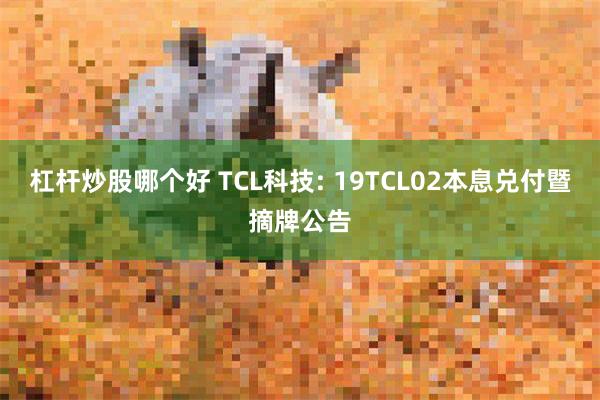 杠杆炒股哪个好 TCL科技: 19TCL02本息兑付暨摘牌公告