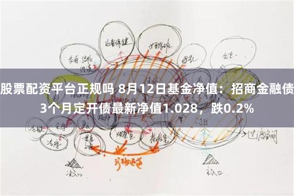 股票配资平台正规吗 8月12日基金净值：招商金融债3个月定开债最新净值1.028，跌0.2%