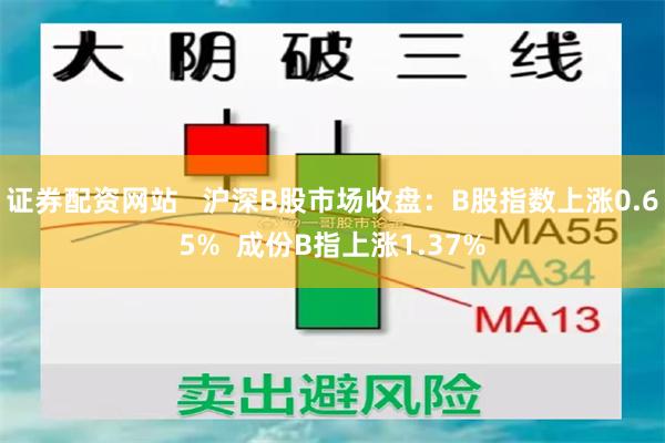 证券配资网站   沪深B股市场收盘：B股指数上涨0.65%  成份B指上涨1.37%