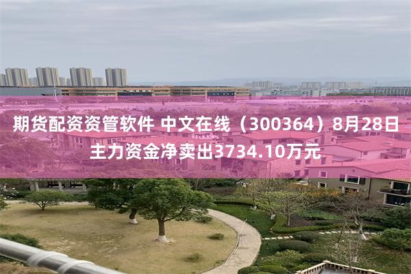 期货配资资管软件 中文在线（300364）8月28日主力资金净卖出3734.10万元