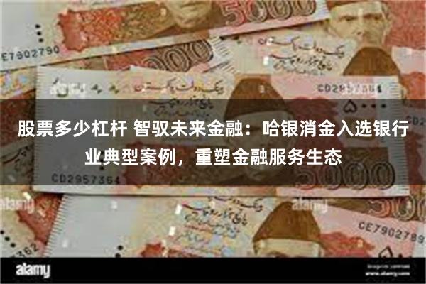 股票多少杠杆 智驭未来金融：哈银消金入选银行业典型案例，重塑金融服务生态