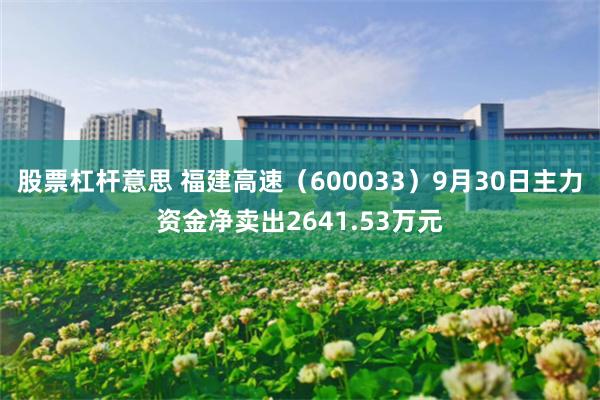 股票杠杆意思 福建高速（600033）9月30日主力资金净卖出2641.53万元