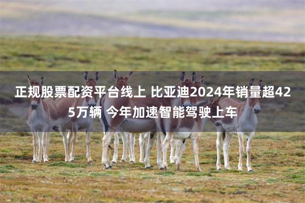 正规股票配资平台线上 比亚迪2024年销量超425万辆 今年加速智能驾驶上车