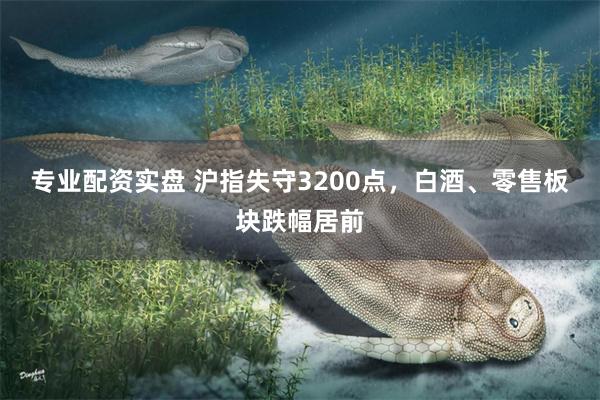 专业配资实盘 沪指失守3200点，白酒、零售板块跌幅居前