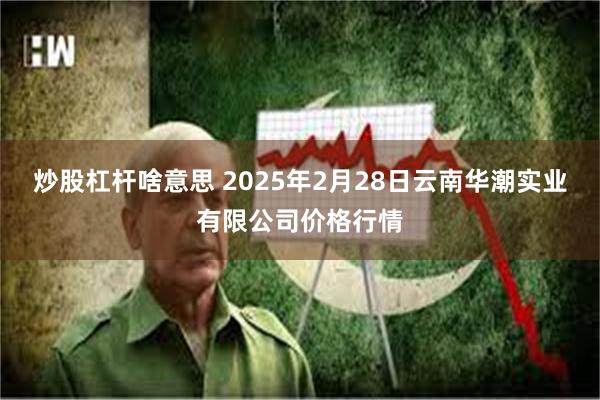 炒股杠杆啥意思 2025年2月28日云南华潮实业有限公司价格行情