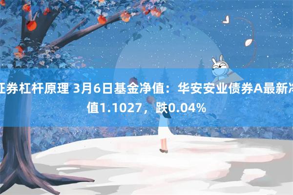 证券杠杆原理 3月6日基金净值：华安安业债券A最新净值1.1027，跌0.04%