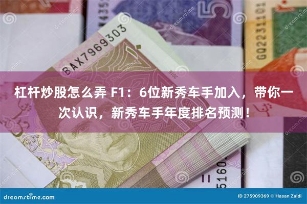 杠杆炒股怎么弄 F1：6位新秀车手加入，带你一次认识，新秀车手年度排名预测！